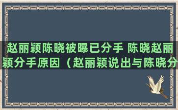 赵丽颖陈晓被曝已分手 陈晓赵丽颖分手原因（赵丽颖说出与陈晓分手原因揭秘）(陈晓现在还关注赵丽颖吗)